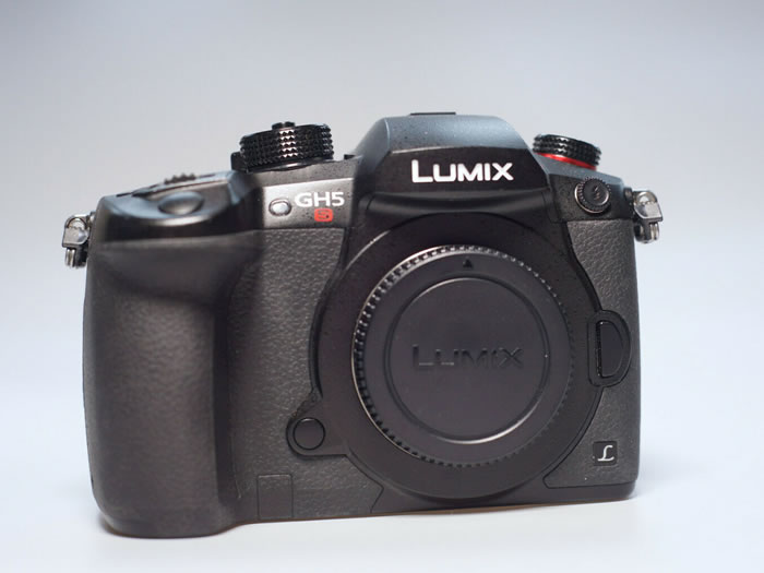 Panasonic Lumix GH5s Camera rent in Lagos